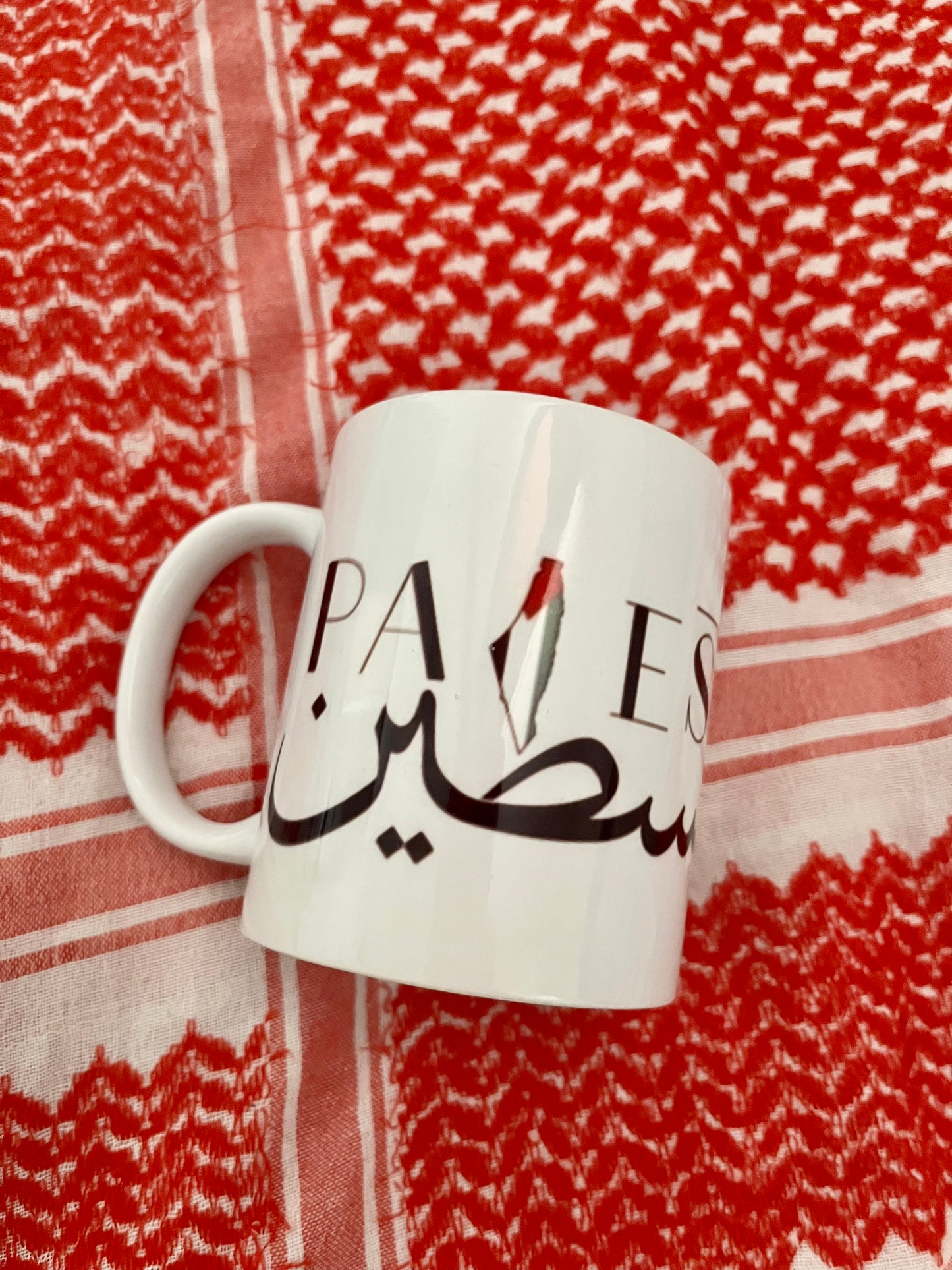 Mug Palestine