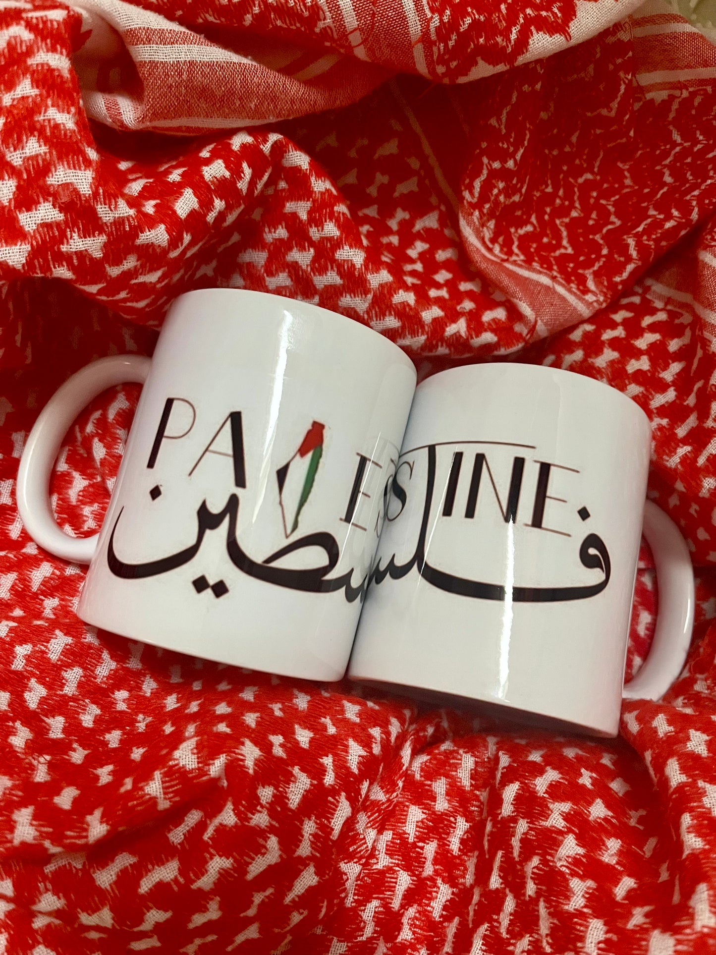 Mug Palestine